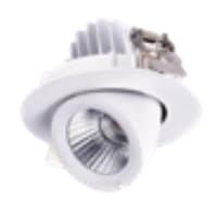 LED-DL-SPOTDIR-30W-100-265V