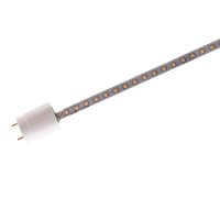 LED-T8-CLEAR-PR-10-100-277V